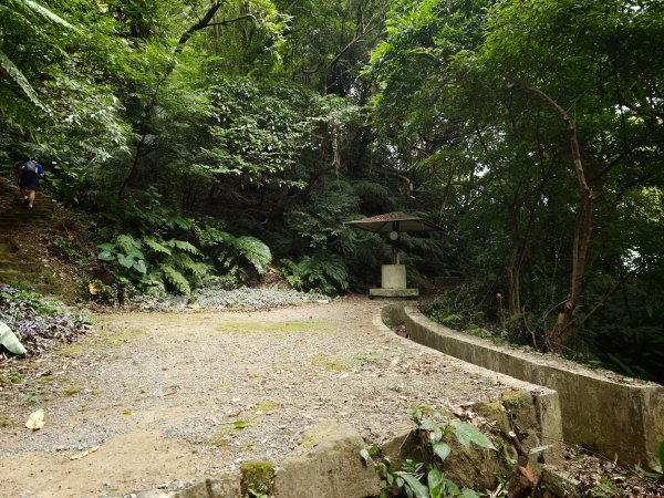 [淡蘭古道] 2026_0523 南路第一段_妙高台步道3069499