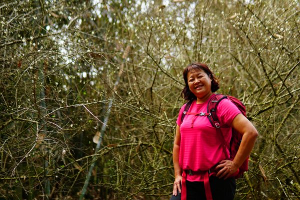 三腳南山、難山傻傻分不清楚1241013