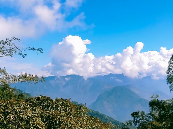 雲嘉連峰2365712