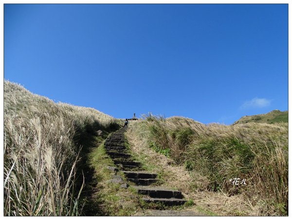 七星山連峰/芒花738703