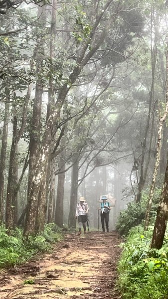🌈7/20(日)梗枋古道接坪溪古道下石空古道✨FB：熊熊趴爬走🌈2842238