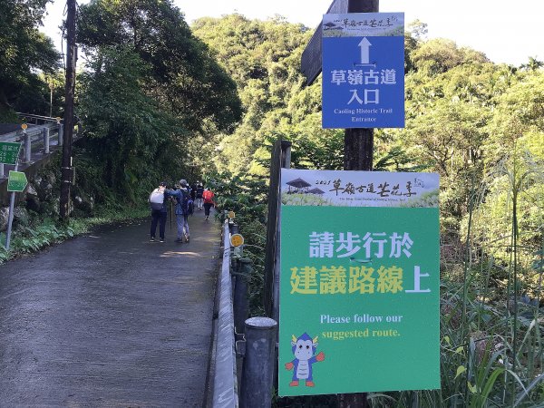 ~  賞秋芒  --  草嶺古道  ~1523261