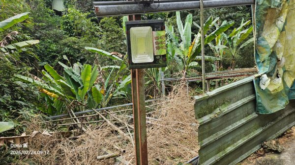 圓通寺烘爐地登山步道大O走3006980