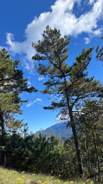 馬武霸下武陵2962346