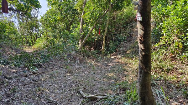 貢寮區三貂角燈塔+萊萊越嶺古道+萊萊山+萊萊三叉峰+吳家古厝+舊草嶺隧道北口+福隆車站3001128