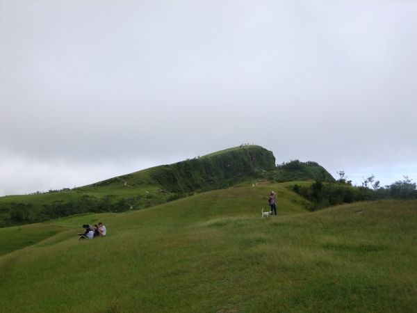 草嶺古道+桃源谷207599