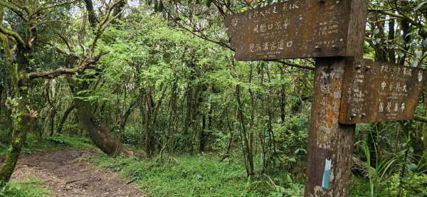 阿哲/小黑3031518