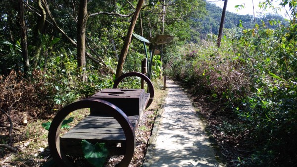 銀河洞越嶺步道+待老坑山+鵝角格山254970