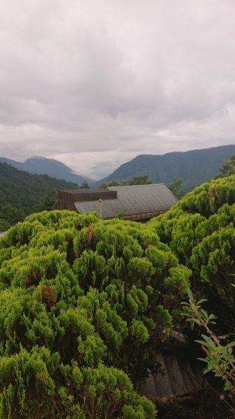 太平山2541809