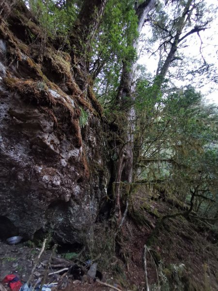 南三段縱走-百里長征在雲端-丹大東郡橫斷908870