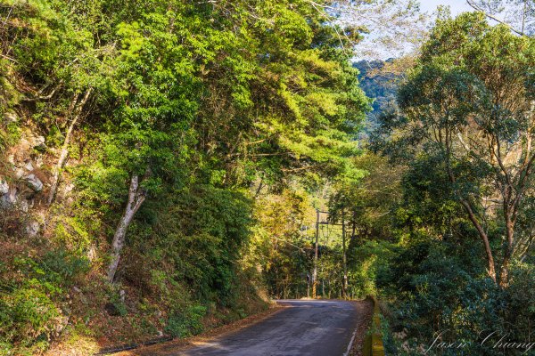 谷關七雄_屋我尾山2977023