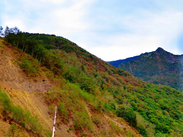 阿里山尋石山，五彩繽紛的石山引水道792471