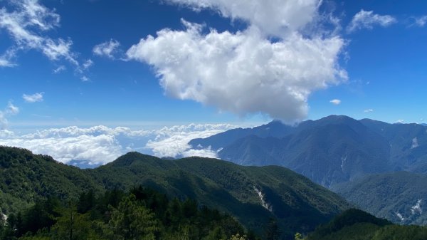 南三段-------丹大無雙豔陽天2916528