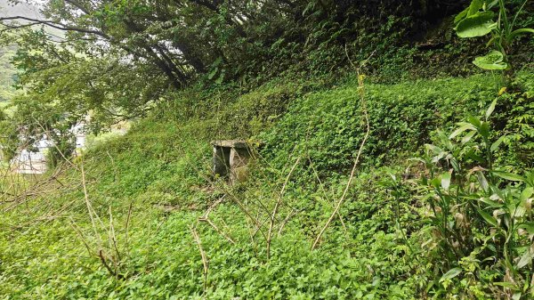 20250421聖人崙-百年古圳-大平尾山-平溪步道2783621
