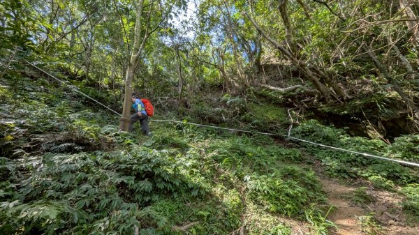 114.06.28內平林山-番子坑山-平湖森林遊樂區之O型2824245