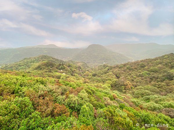 ＜小百岳＞台北市．大崙頭山904324