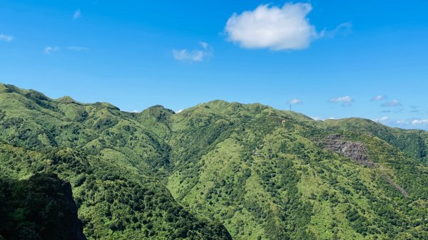 無耳茶壺山步道2878432