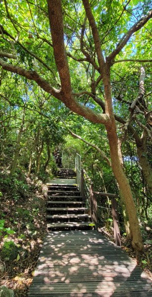 柴山登山步道1454349