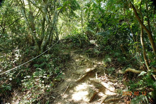 臺中 太平 暗影山1608976