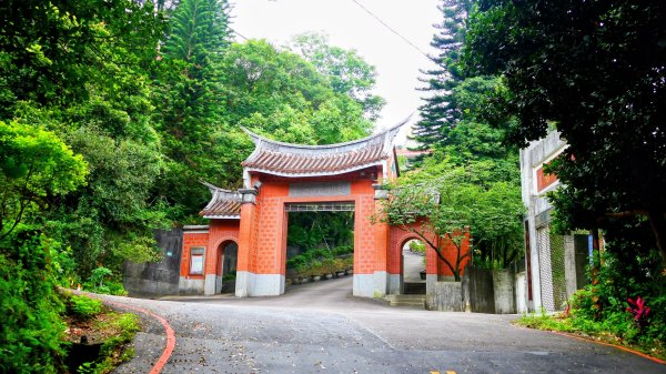 翼豆（楊桃豆）3067596
