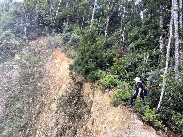 鳶嘴西稜上鳶嘴山 27.5k出1151770