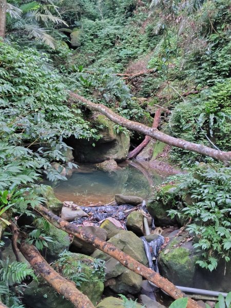 鳳鳴古道 鳳鳴山 南隘勇（南長城）古道 三湖山 八達嶺（龍骨）古道 綠色古道 延平古道2975198