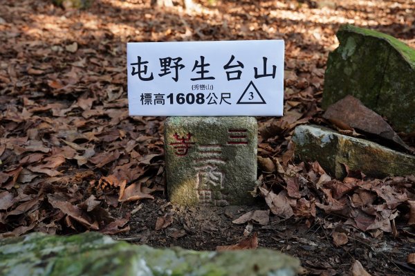 新竹 尖石 屯野生台山、石麻達山2441140