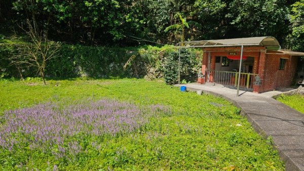 20250322遠望坑古道-龜媽坑古道中線-虎子山古道2743251