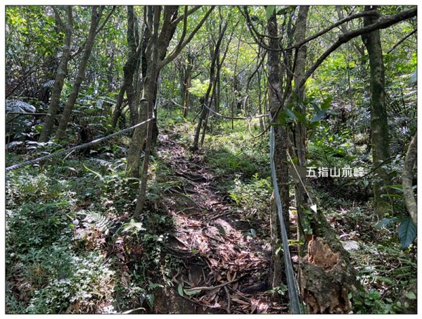 五指山、內雙溪山、香對山、梅花山9基石連走3077366