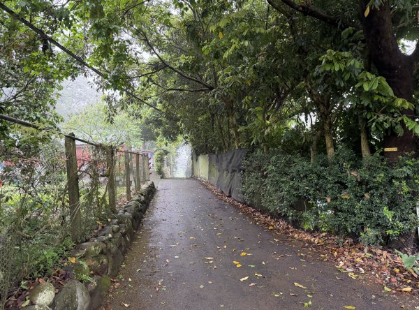 [樟之細路_第一大段RSA05] 2026_0329 石門大圳3027190