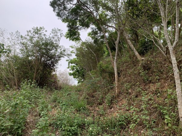 20250405屏東內南世山-西霧里乙山2757791