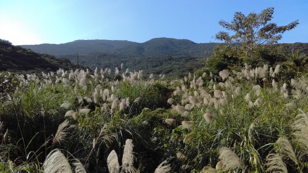 泥土芳香的福卯古道、莊嚴肅穆的靈鷲山796225