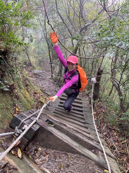 尋覓雨霧中的獅子|獅仔頭山|Mt.Shizaitou|隘勇線|峯花雪月2384993