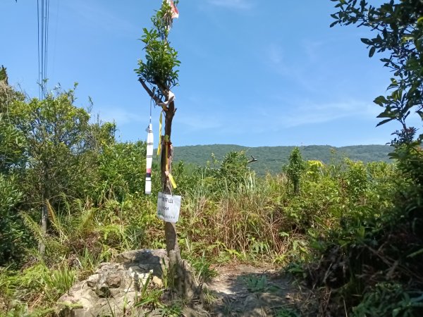 汐止區火燒坪山+車坪寮崙+五指山前峰O型2857903