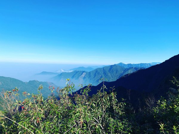 ［北大武］雲海與鐵杉壯麗之美823283