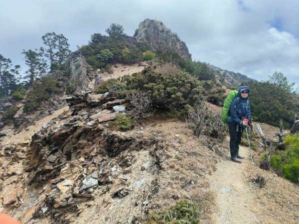 20240320 馬博8天縱走~第五天，馬里亞文路山，馬利加南山2471210