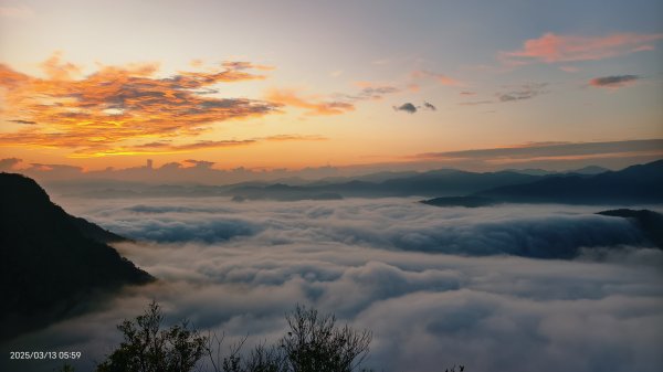 #翡翠水庫 #琉璃光 #日出 #雲海  #藍腹鷴 3/132734657