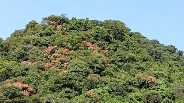 台中和平區大茅埔山3129186