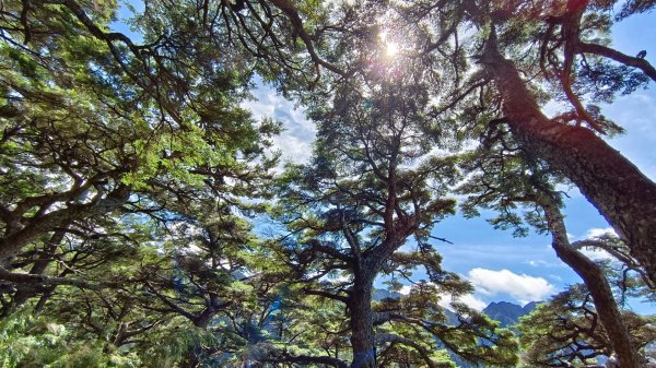 玉山北/西峰（排雲雲海/夕陽/下雨）1496065