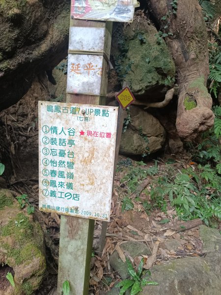 鳴鳳山古道2983685