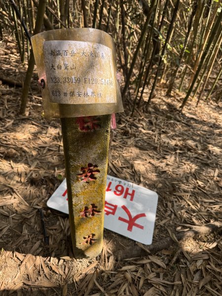 《白鷲山》《大白鷲山》《雞胸山》2999421