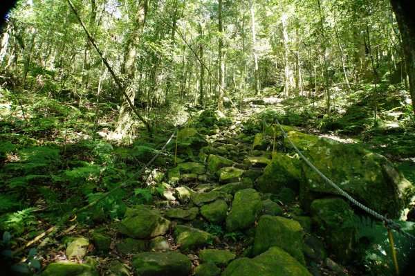台中 和平 鳶嘴山2926905