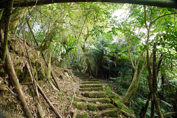 新北 三峽-土城 大暖尖山、火焰山、石門內尖山、十八羅漢岩、成福山3016600