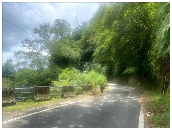 碧湖山 (碧鳳山) (嘉義、梅山)2846352