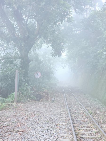 獨立山國家步道 - 2024嘉遊好步道．來嘉走走2644021