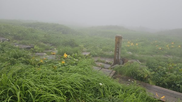 240811-山形信仰之山-月山（がっさん）。美美兔特選日本百名山之一。2603780