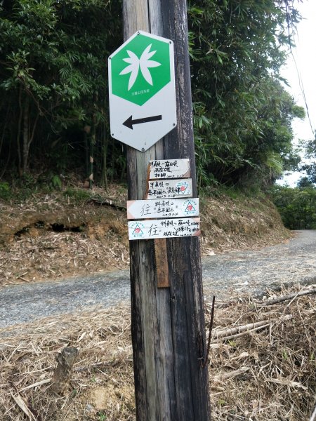 中坑古道串崩山坑古道(料角坑出)1119855