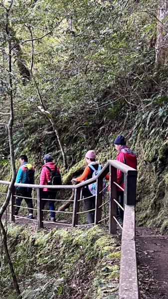 🌈228連假北橫賞櫻客製化四日遊Day2 FB：熊熊趴爬走🌈2724614