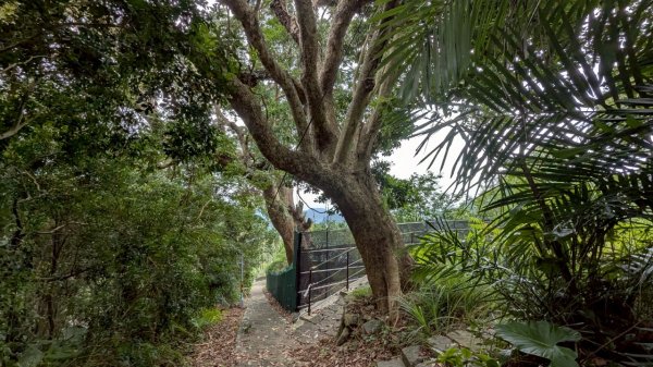 114.06.01溪山百年古圳-太平尾山+聖人崙之旅2801854