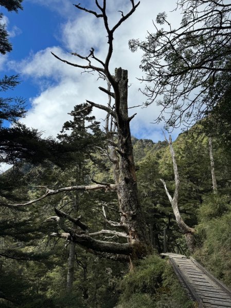 登上百岳之首玉山主峰2343884